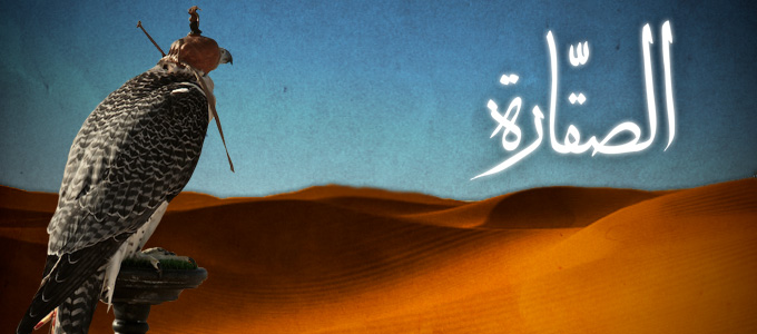program-image