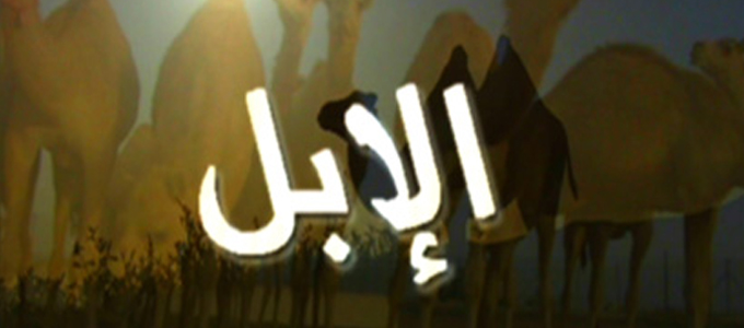 program-image